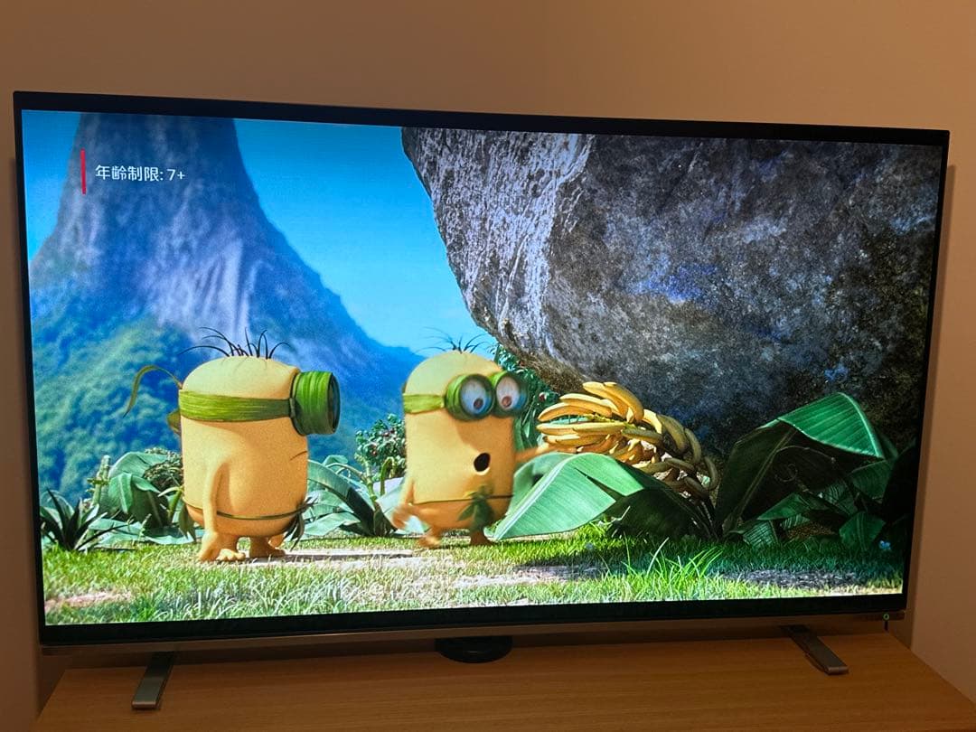 TOSHIBA 東芝 REGZA 55X8400 有機ELテレビ 55インチ