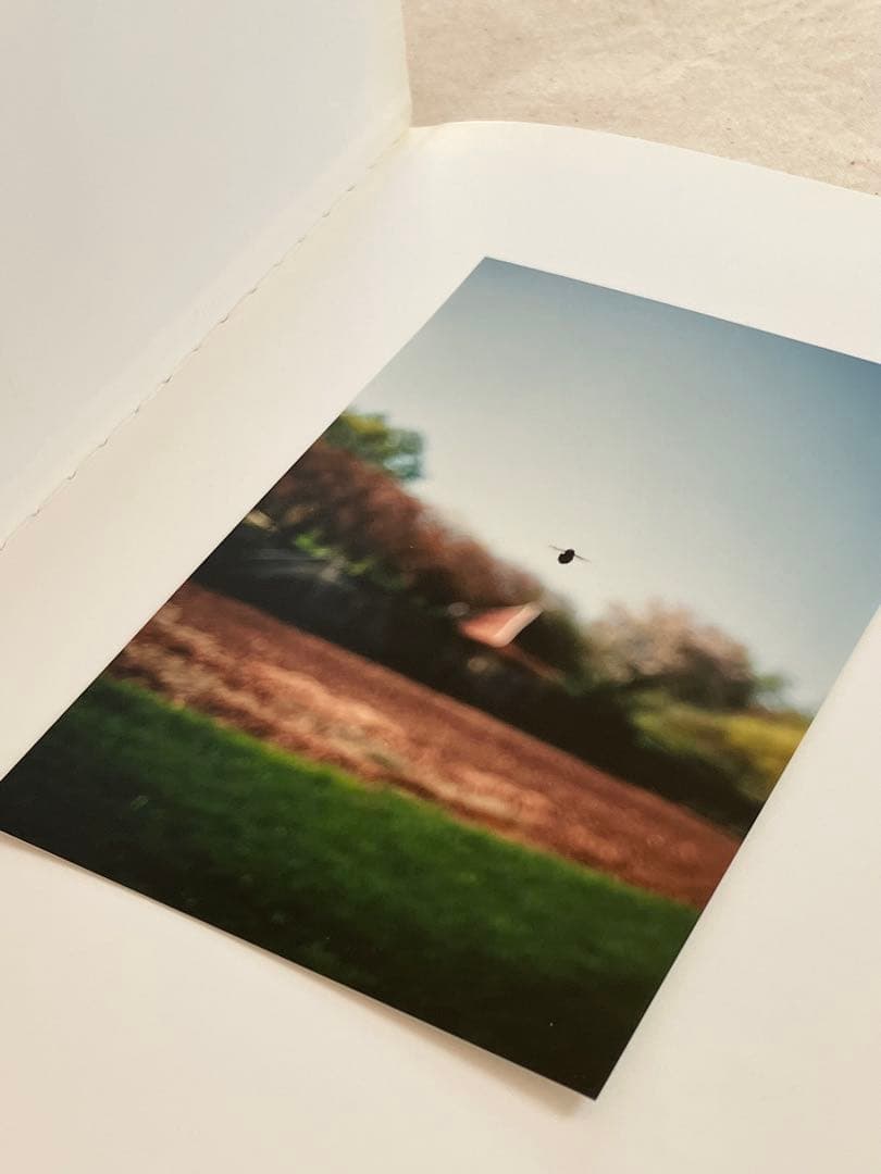 洋書 Instruction Manual No.2 Terri Weifenbach