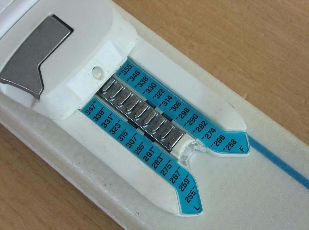 ■■11月限定■送料無料■ELAN■女性用スキーセット■158/25-25.5■