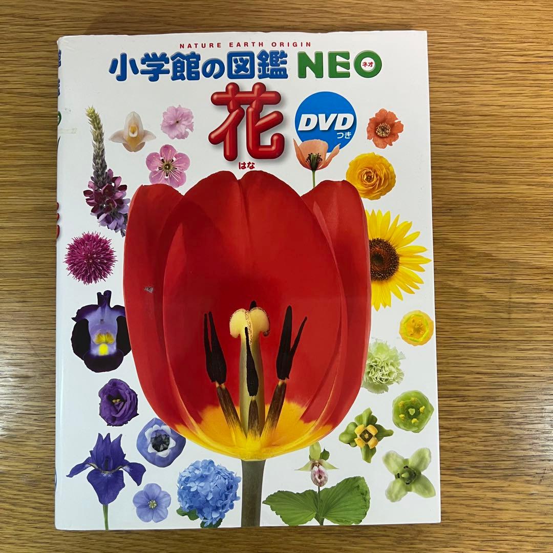 小学館の図鑑NEO 13冊セット動物・恐竜・植物・鳥・花 DVD付き プレNEO