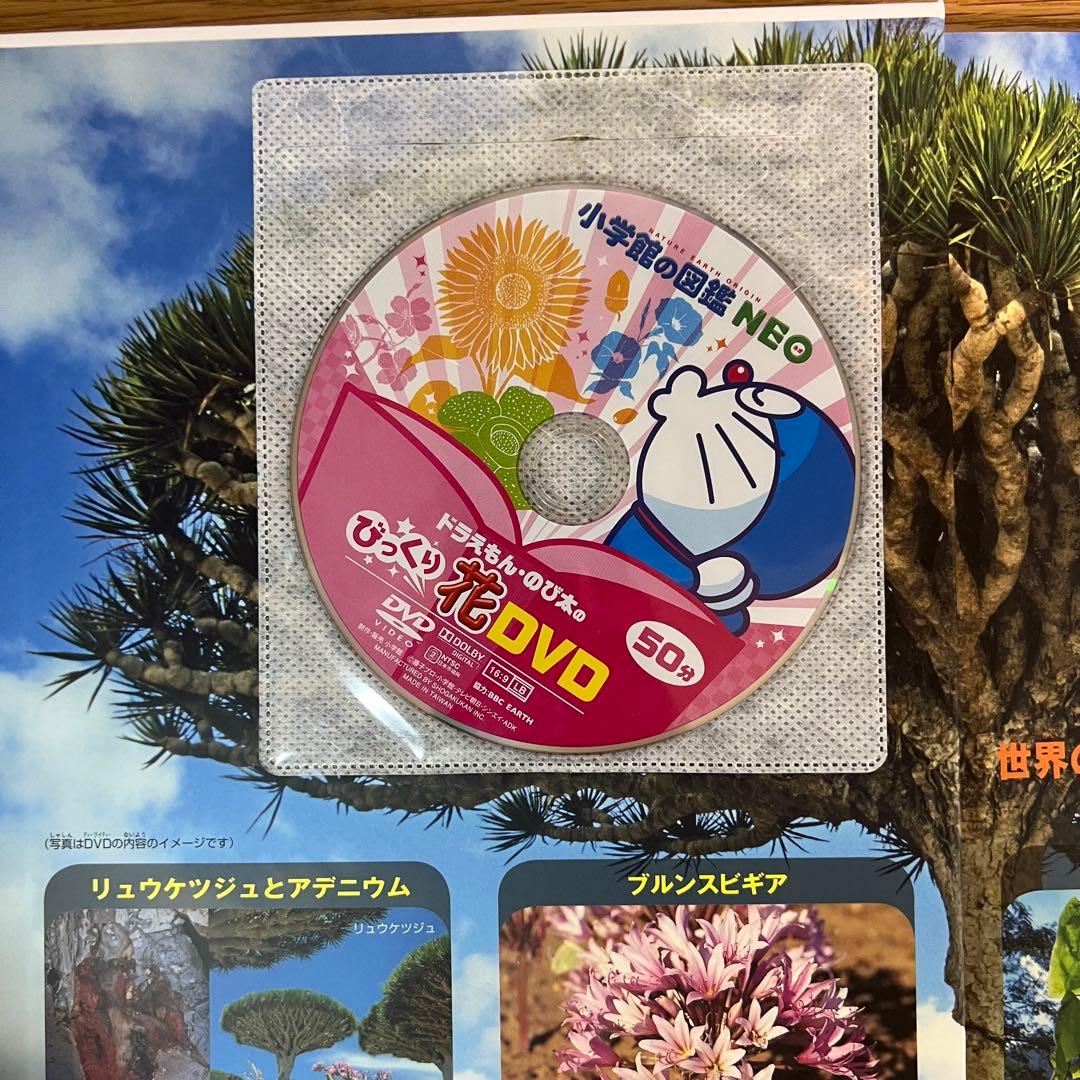 小学館の図鑑NEO 13冊セット動物・恐竜・植物・鳥・花 DVD付き プレNEO