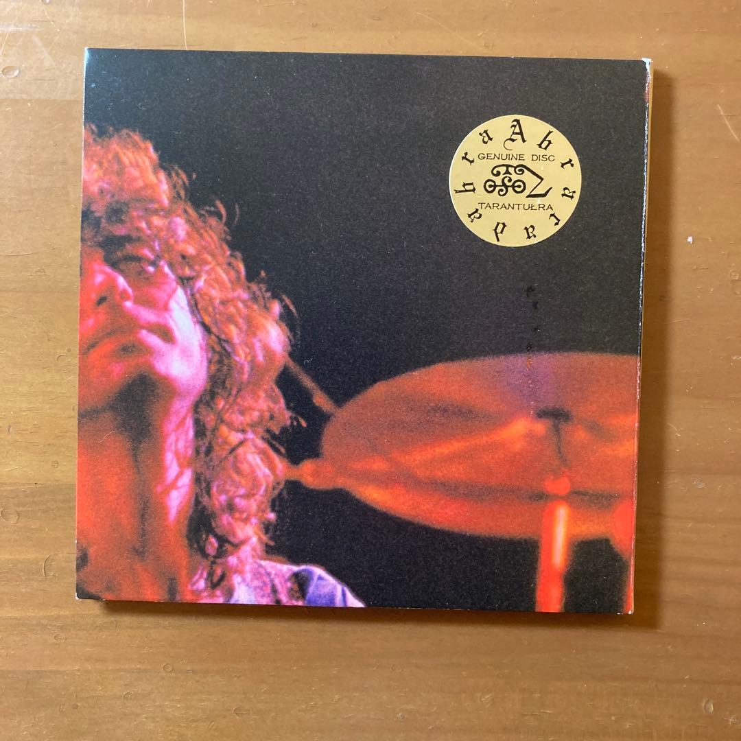 洋楽 Led Zeppelin/Zurich