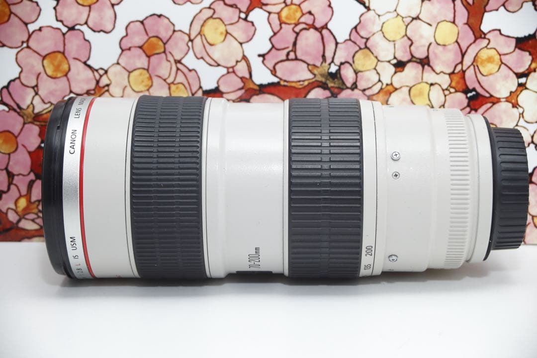 A*様 ❤️大三元レンズ❤️キヤノン EF 70-200mm f2.8L IS