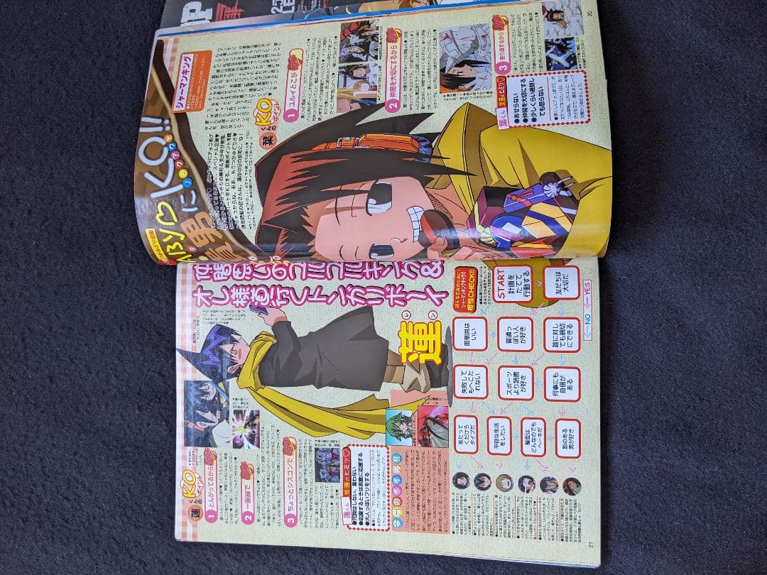 アニメディア　2002年2月号　犬夜叉　テニスの王子様　名探偵コナン　ヒカルの碁