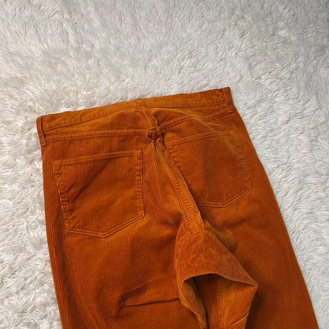 Der SAMMLER Solo × TTR 21AW WALTER PANTS