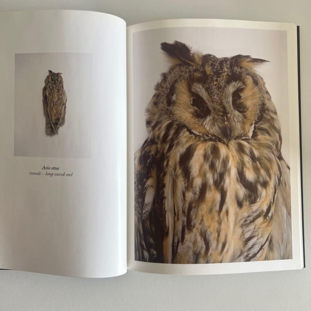 Still Wild サラ・ローレ・エンゲルハルド サイン入り