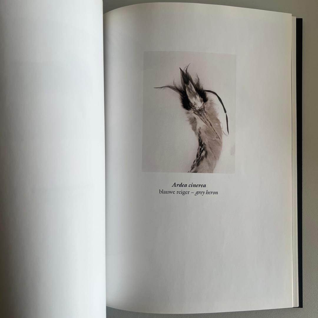 Still Wild サラ・ローレ・エンゲルハルド サイン入り