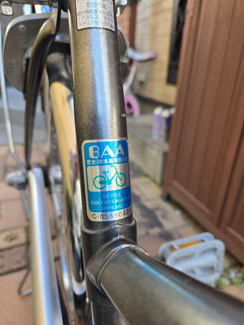 通学　ブリヂストン　ロングティーンDX