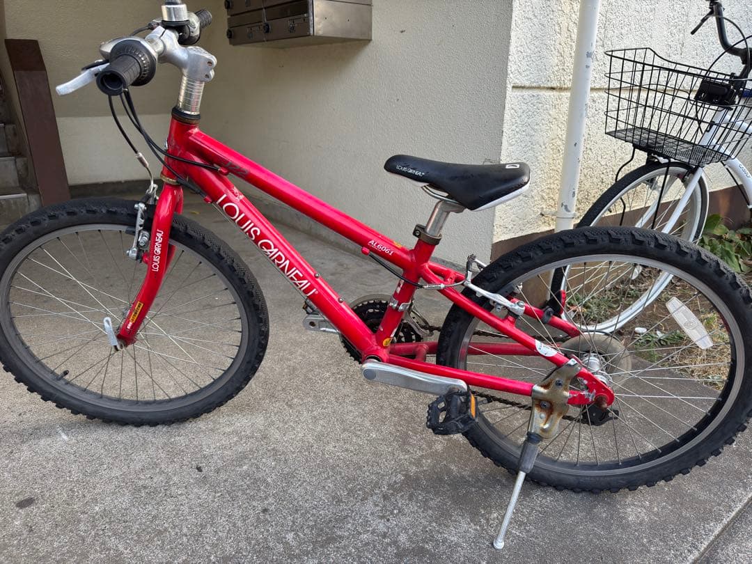 ルイガノ 22インチ 子供用自転車