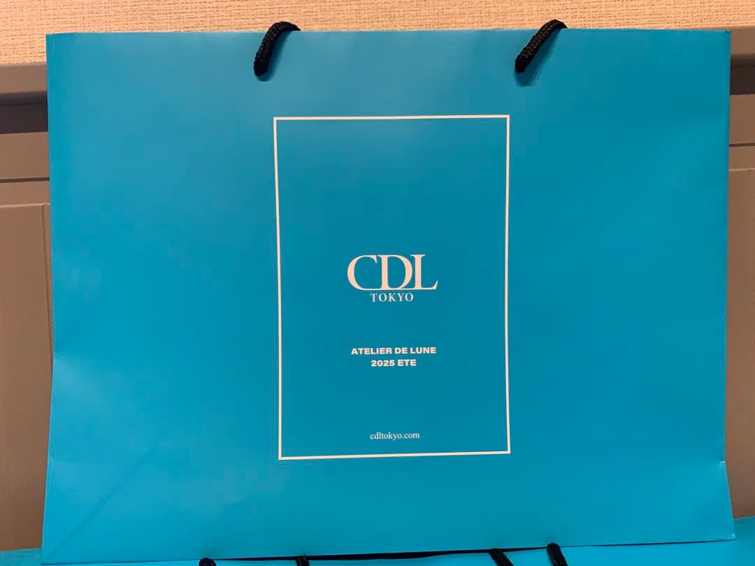 新品　CDL Hand Stitched Mini Basket ショッパー可