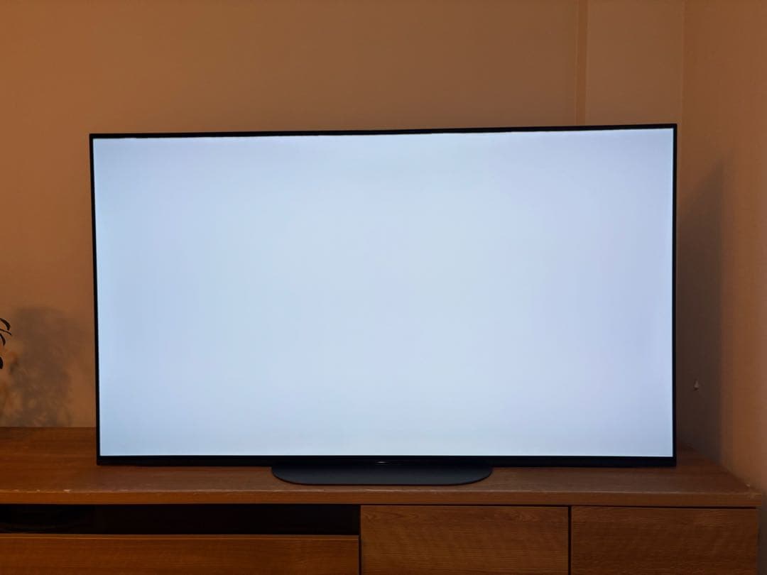 【配送料込み】SONY BRAVIA 55型 有機ELテレビ