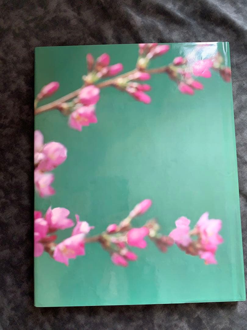 未使用品　Barbie in Japan 洋書