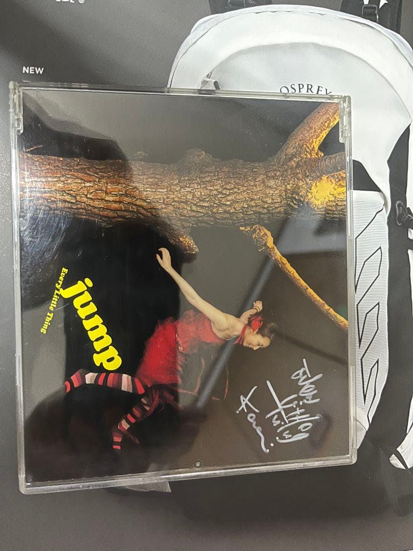 Every Little Thing 直筆サイン