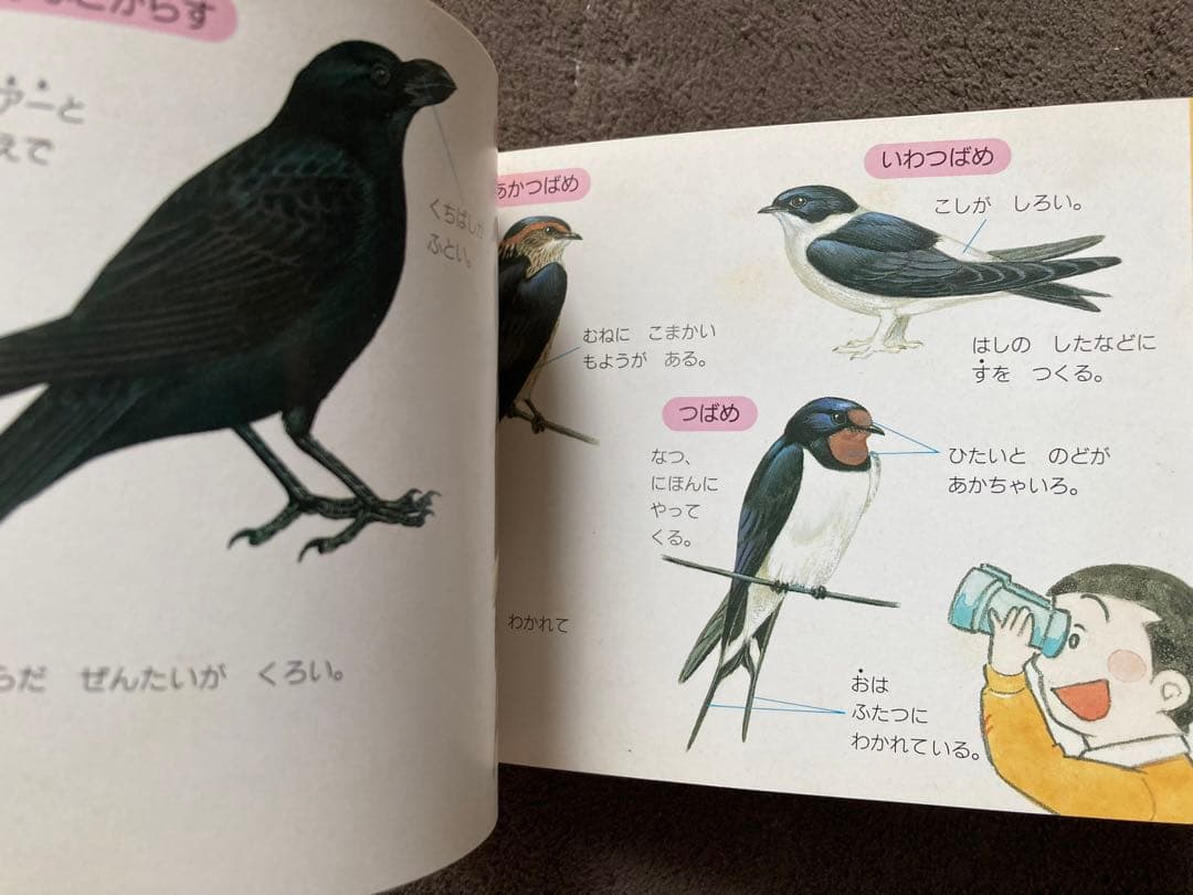 ワンダーランドべっさつ　ポシェットブック　11冊セット