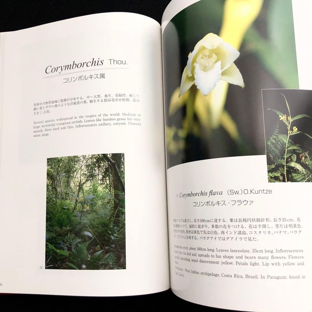 野生ラン 写真集「艶蘭亭 ADELANTE - パラグアイの野生蘭と甲虫」小山貢