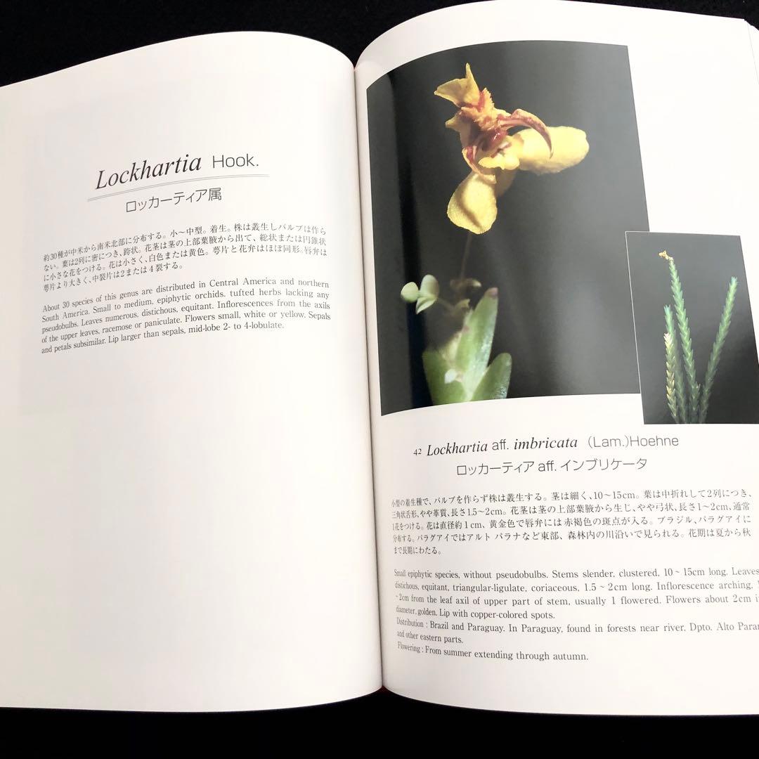 野生ラン 写真集「艶蘭亭 ADELANTE - パラグアイの野生蘭と甲虫」小山貢