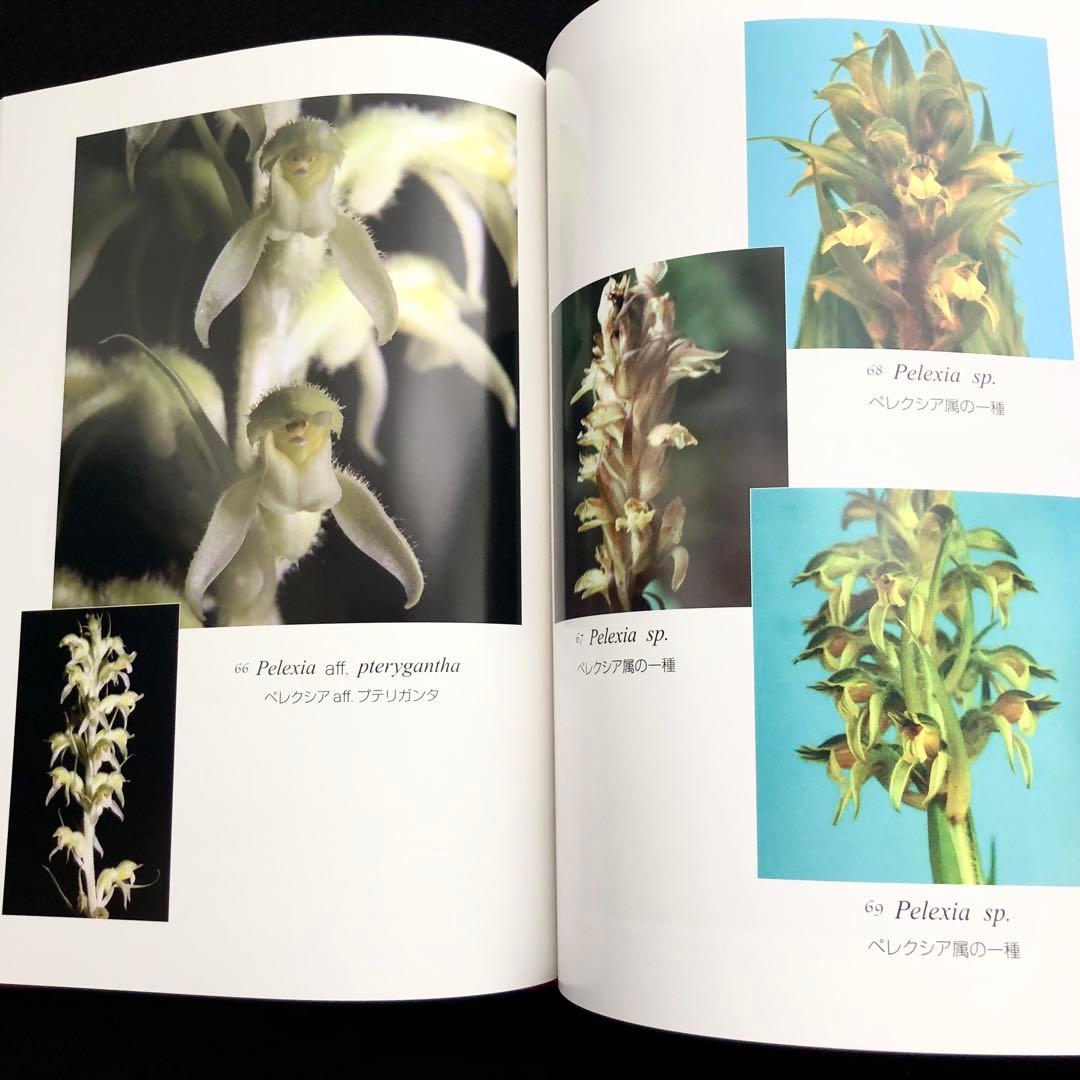 野生ラン 写真集「艶蘭亭 ADELANTE - パラグアイの野生蘭と甲虫」小山貢