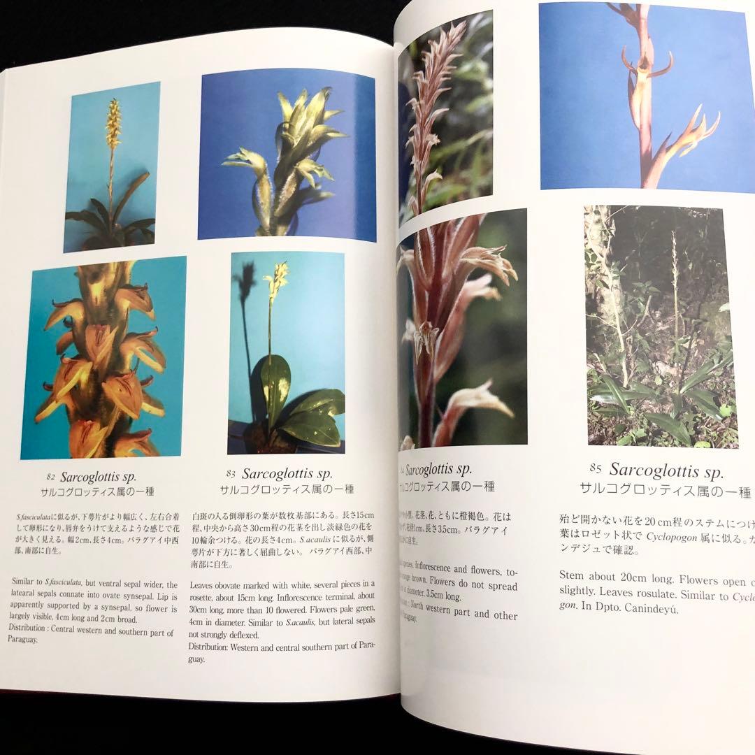 野生ラン 写真集「艶蘭亭 ADELANTE - パラグアイの野生蘭と甲虫」小山貢