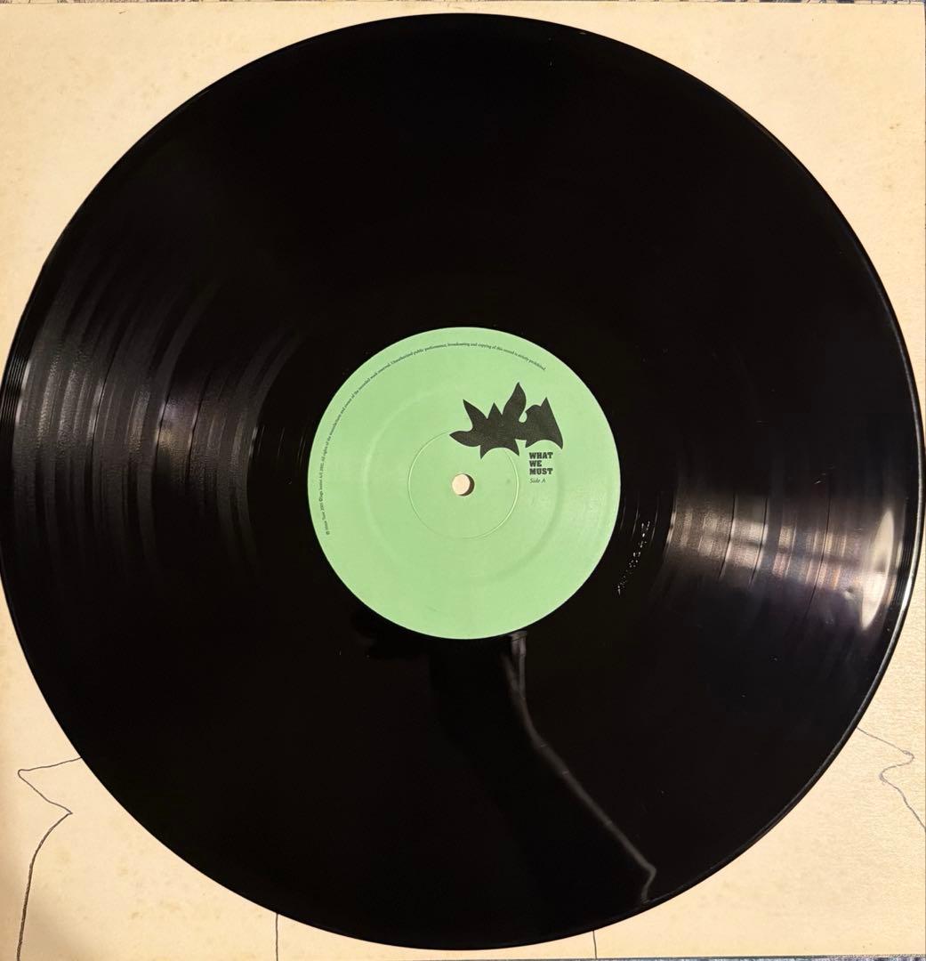 Jaga Jazzist / What We Must レコード LP