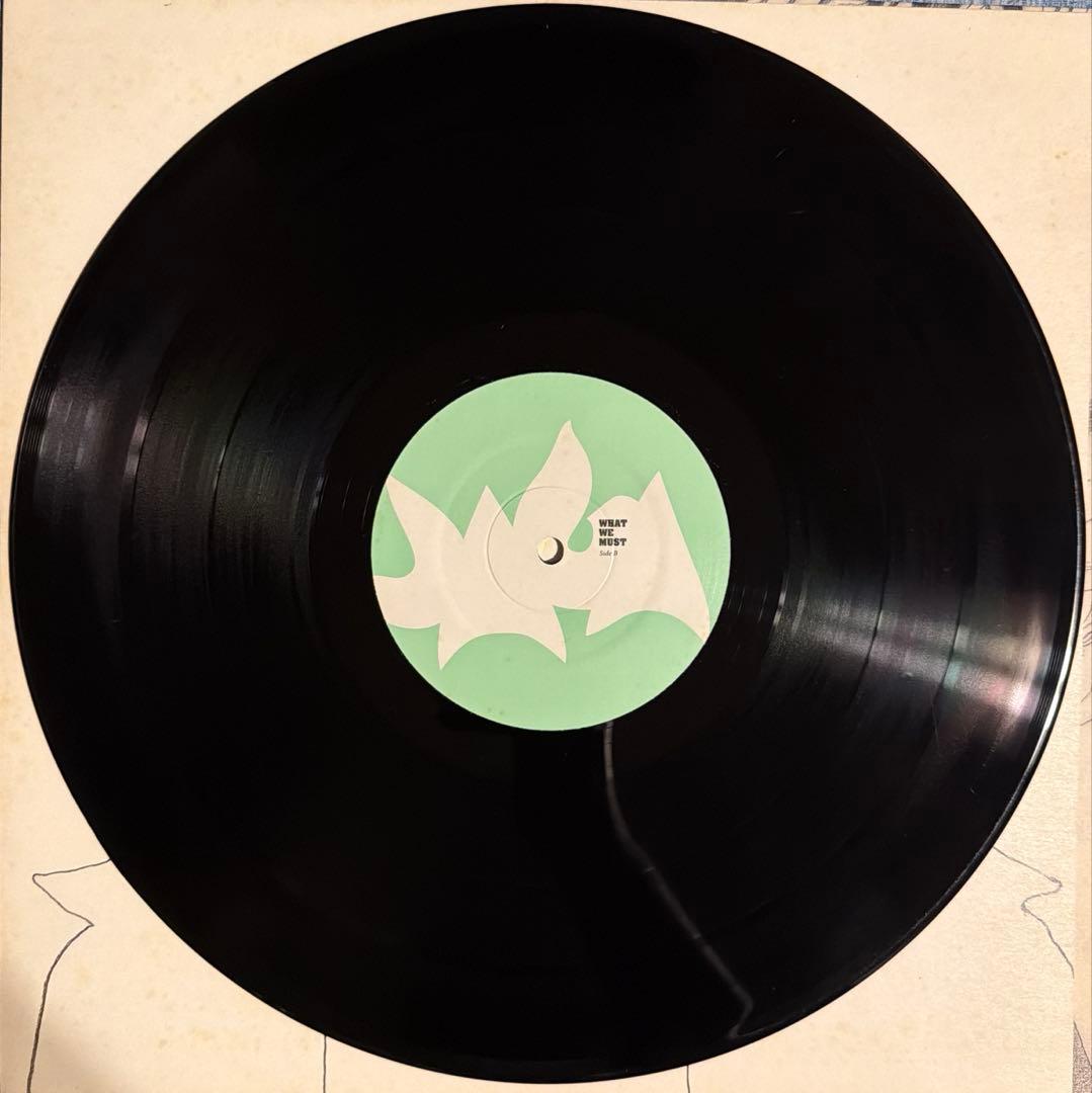 Jaga Jazzist / What We Must レコード LP