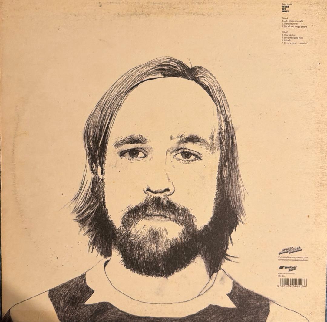 Jaga Jazzist / What We Must レコード LP