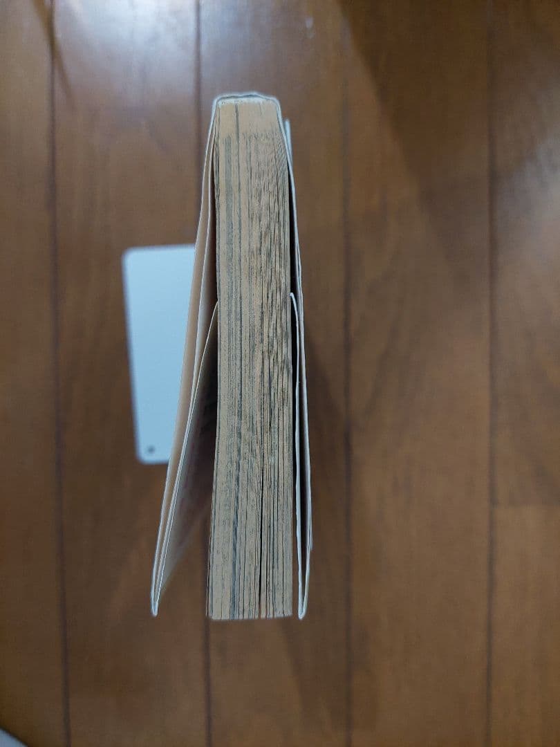 【初版】ONE PIECE 巻一 ワンピース