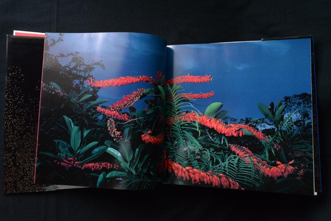 【花狩】山村雅昭写真集　1998年