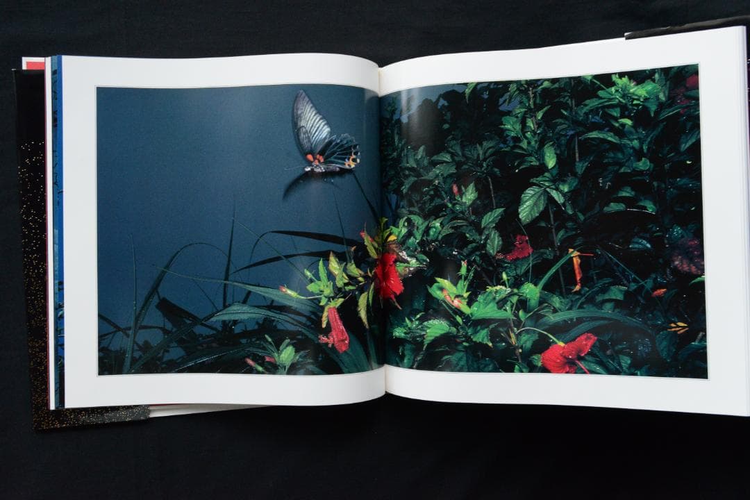 【花狩】山村雅昭写真集　1998年