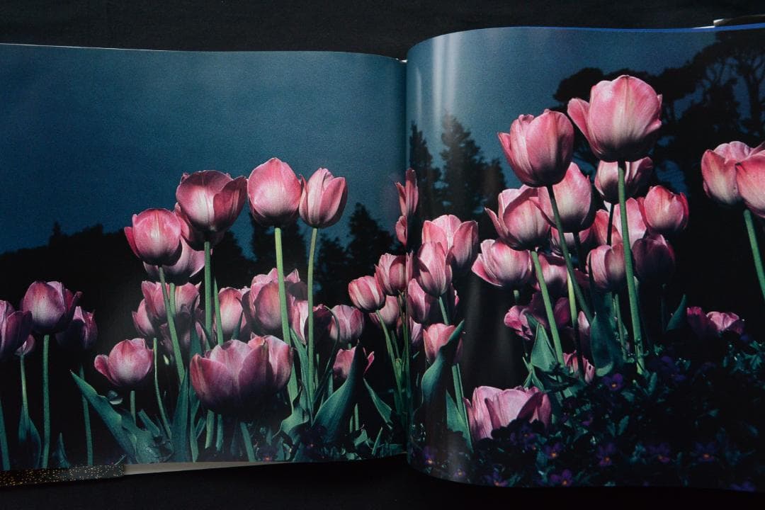 【花狩】山村雅昭写真集　1998年