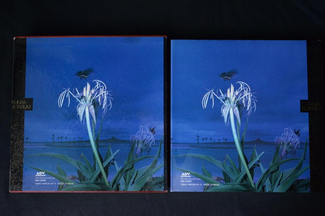 【花狩】山村雅昭写真集　1998年