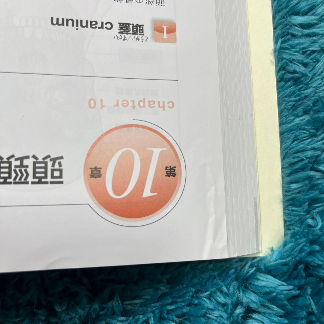 口腔解剖学　第2版　医歯薬出版　歯学部