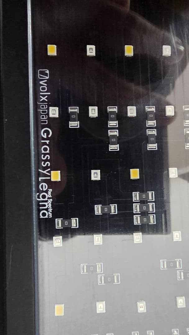 ボルクスジャパン Grassy Legna Marine 60cm