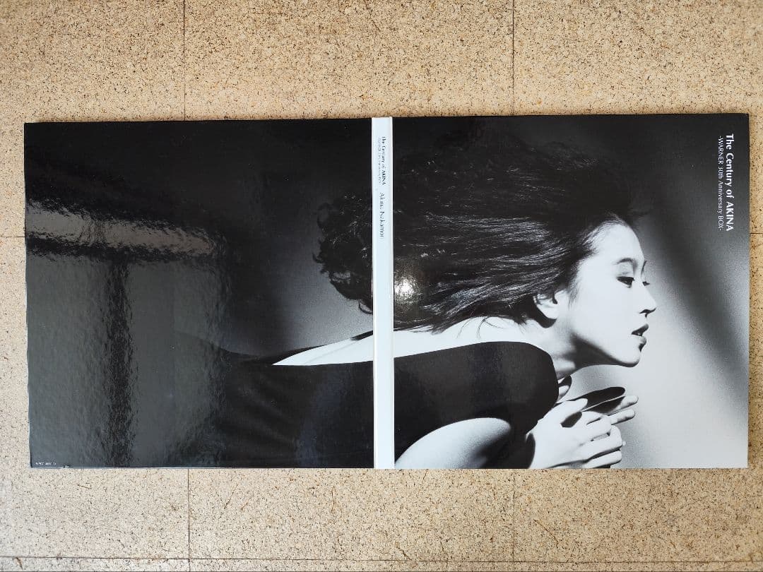 中森明菜 The Century of AKINA～WARNER 30th