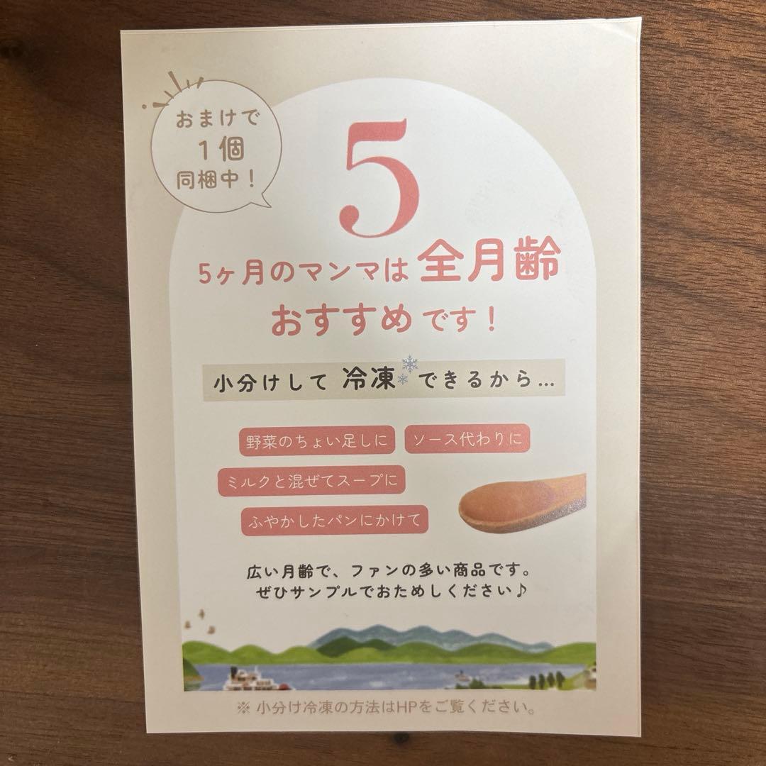 こ*う様 おまとめ）ベビーフード　離乳食　9ヶ月　manma おかず13個＋11