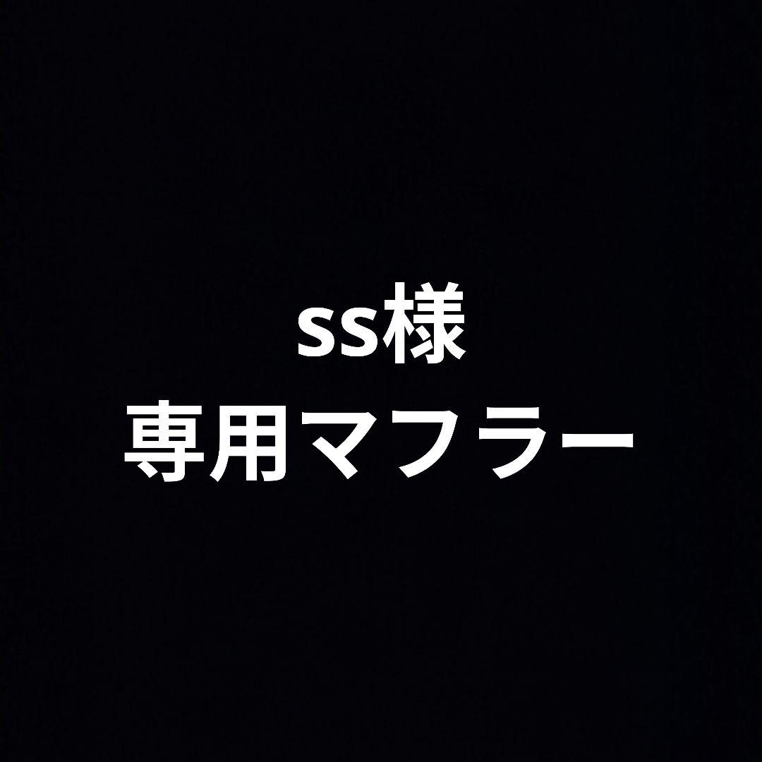 ss!!CBX400F用 45φプロタッチマフラー　ノーカット