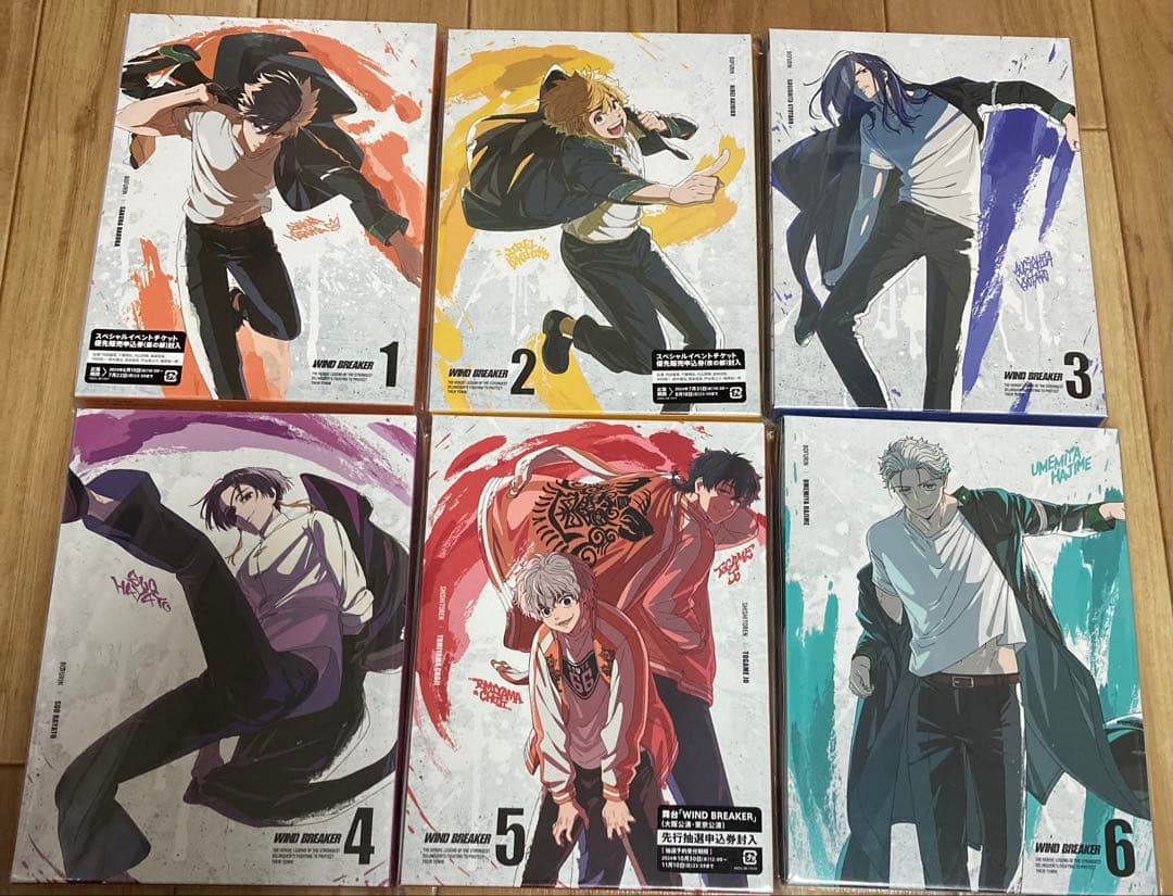 WIND BREAKER ウィンブレ 完全生産限定版 DVD 全巻 特典