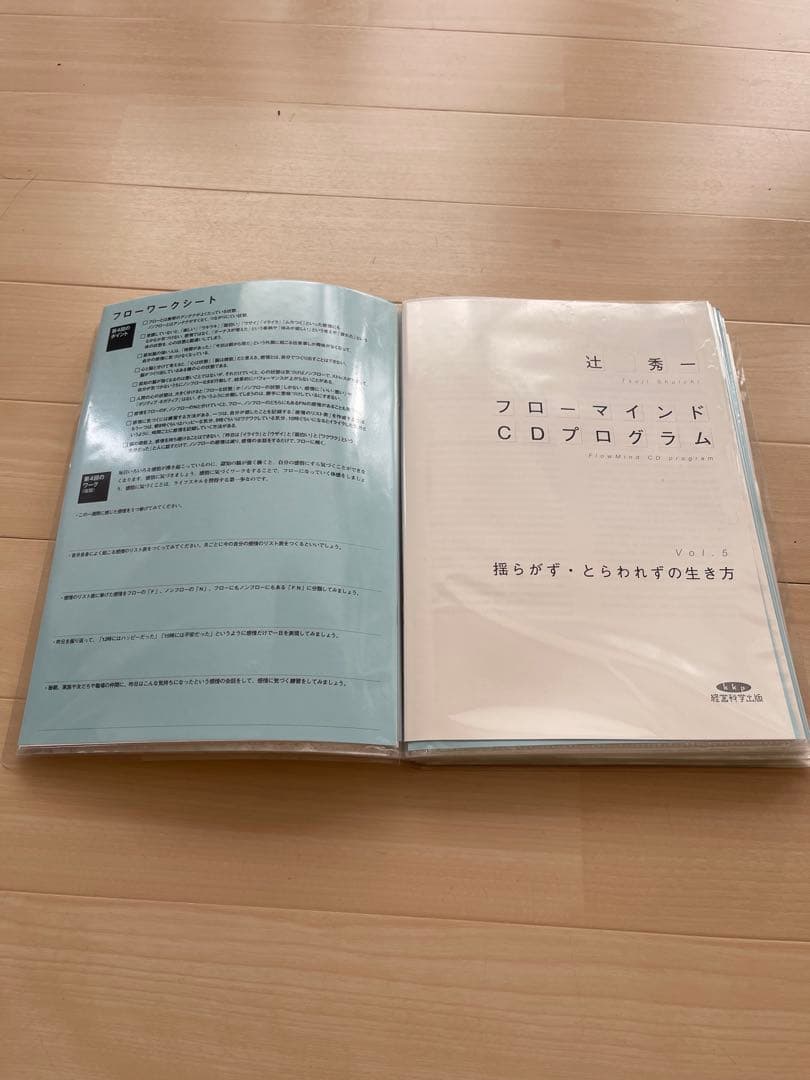 辻秀一　　フローマインド CDプログラム 全巻セット