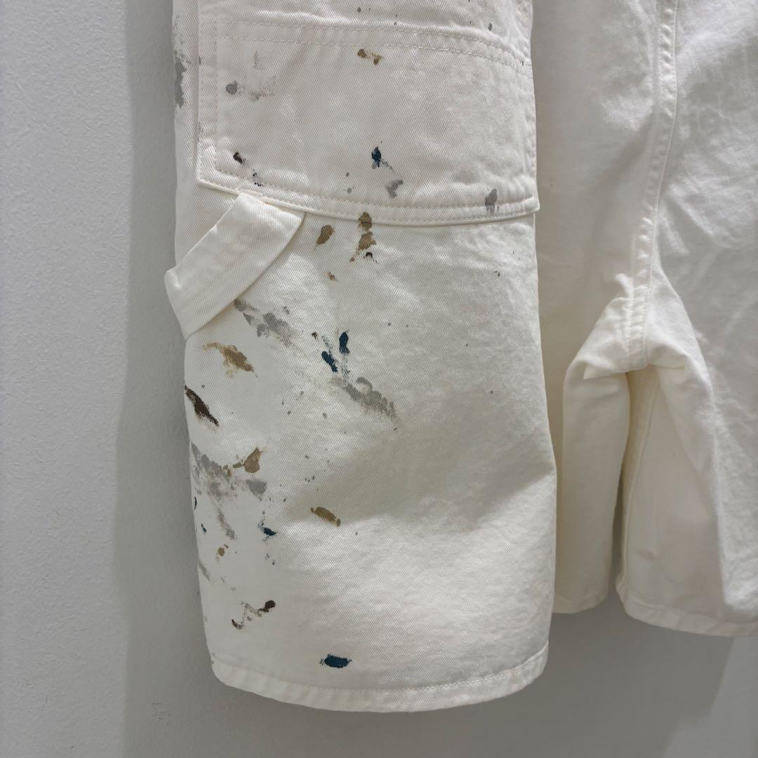 BOWWOW バウワウ　ペイントショーツ