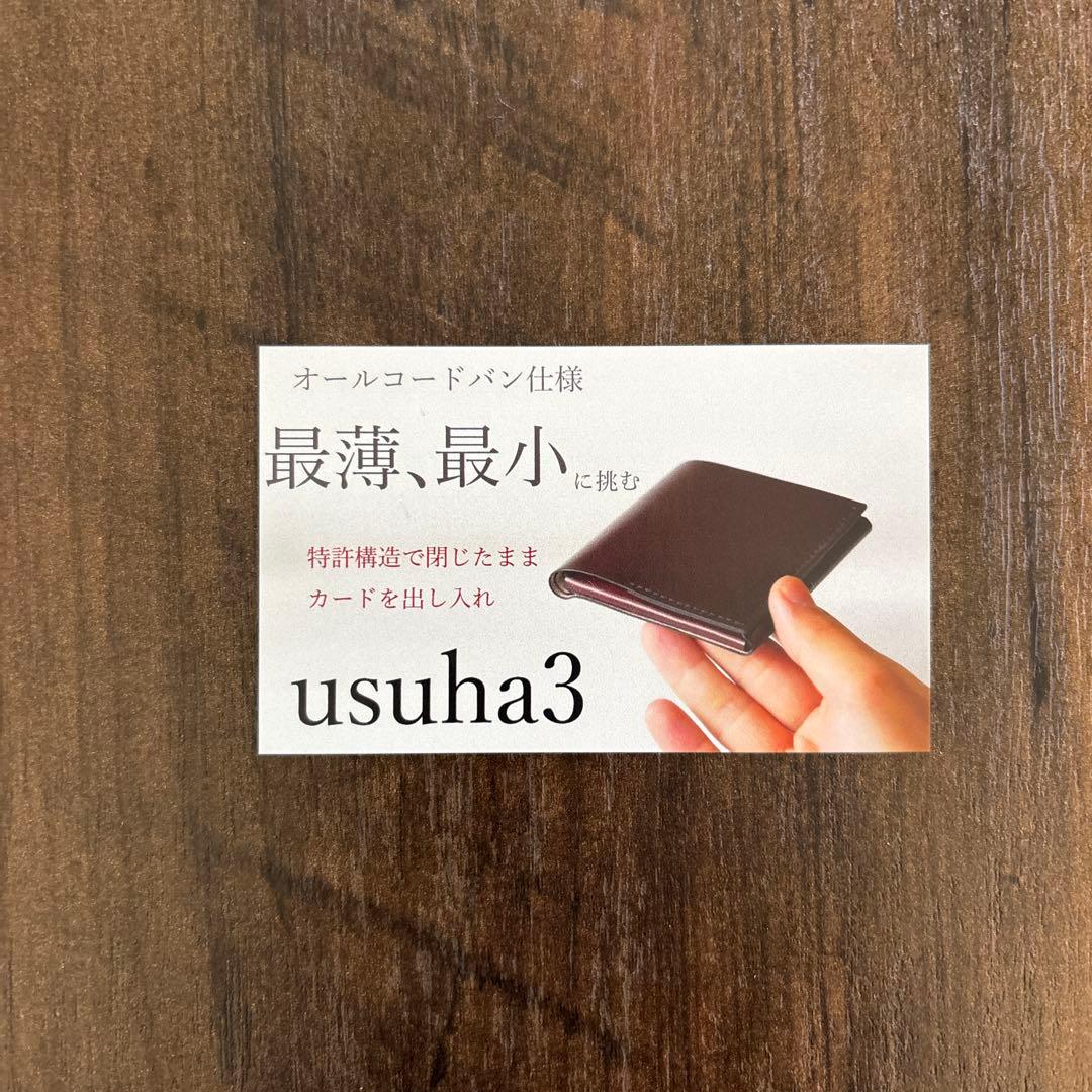 点と線　new-usuha3 ギボシ有