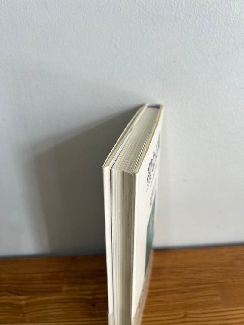 【希少】聖なる風 　忍田 光 　翔雲社　帯付き