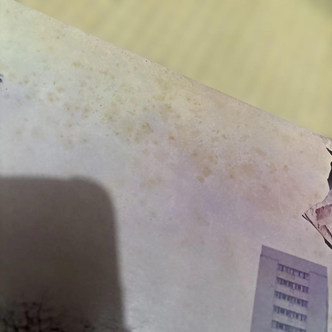 レッドツェッペリン Led Zeppelin 国内盤 レコード3枚