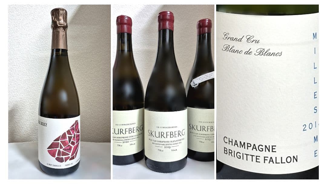 ワイン５本セット(エリーズ・ブジィー他)