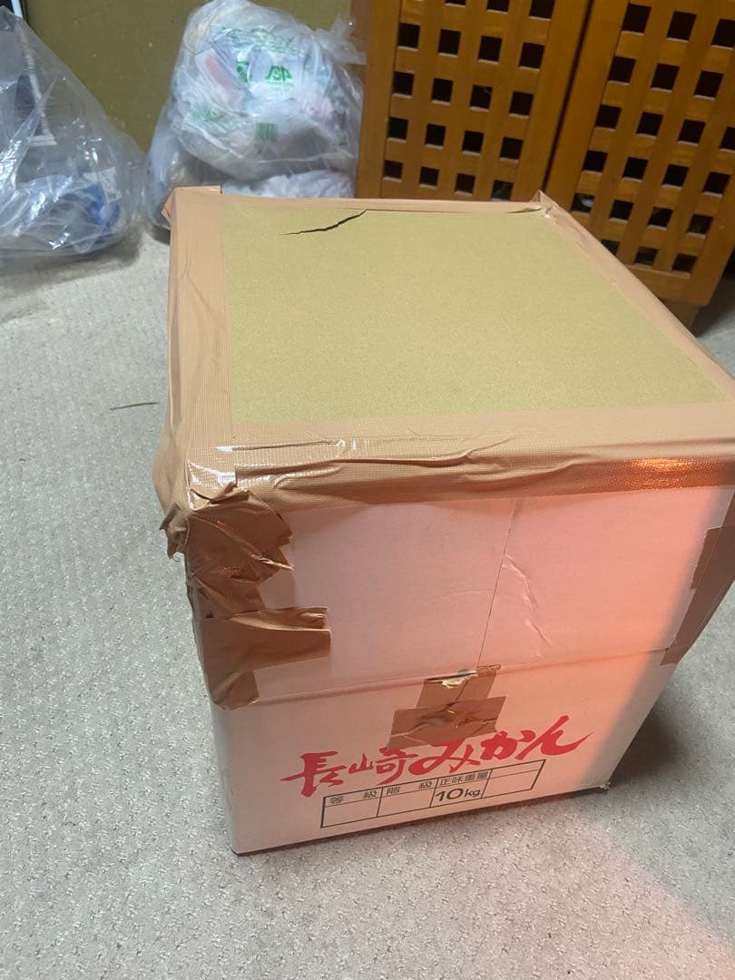 ワンピース カイドウ ジャンク品