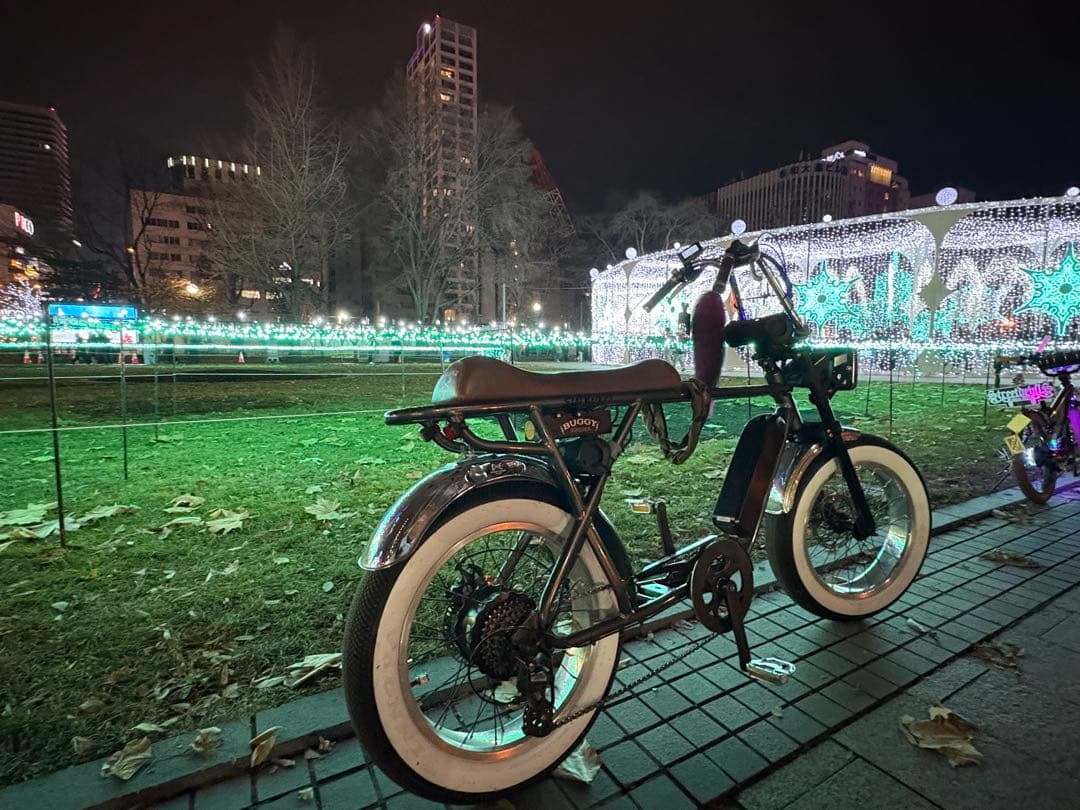 早い者勝ち‼️配送可能‼️ブロンクスバキーGTシリーズフルカスタム