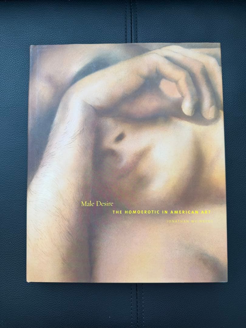 洋書 Male Desire: Homoerotic in American Art