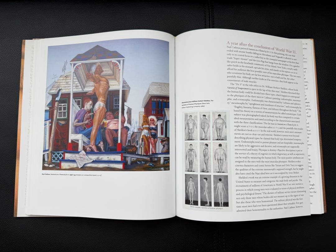 洋書 Male Desire: Homoerotic in American Art