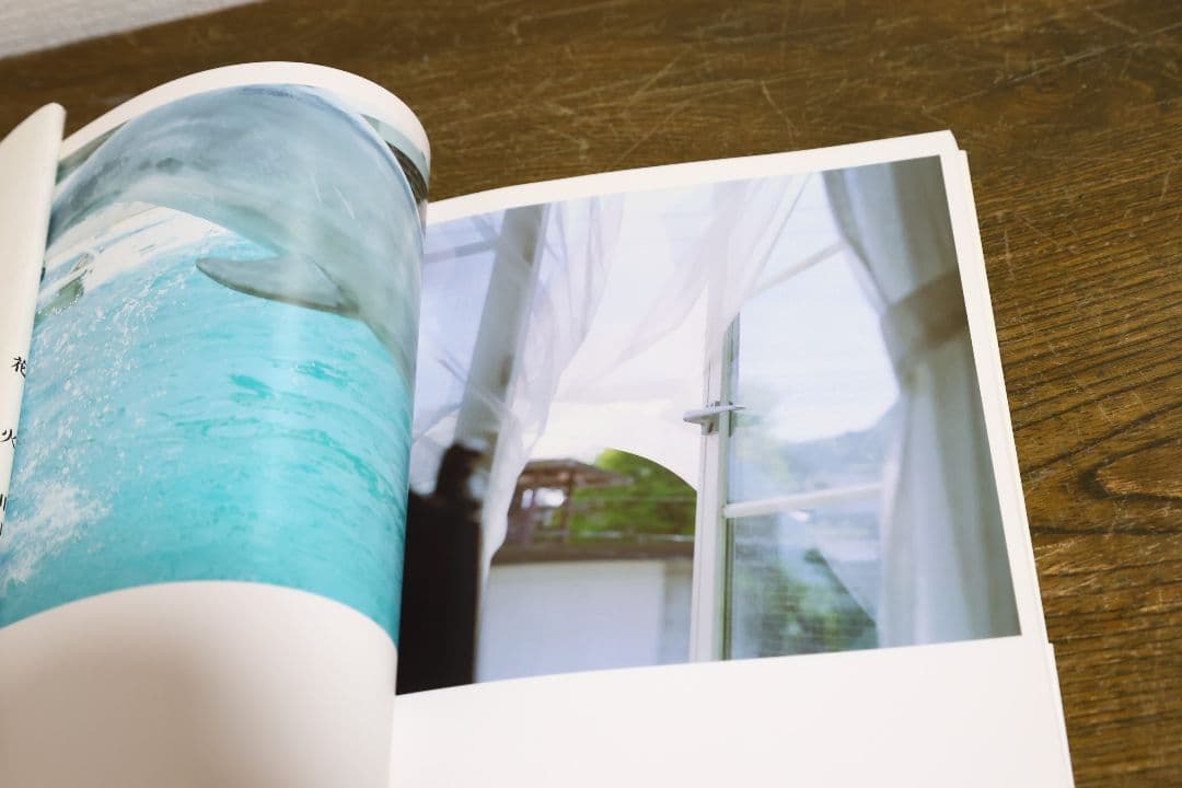 川内倫子 / うたたね、花火　2冊セット