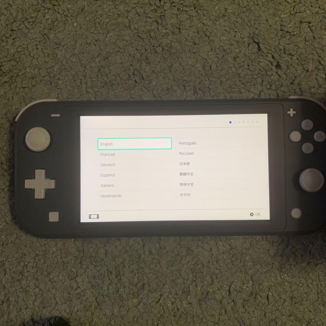 Nintendo Switch Lite グレー ポケモンケース付き