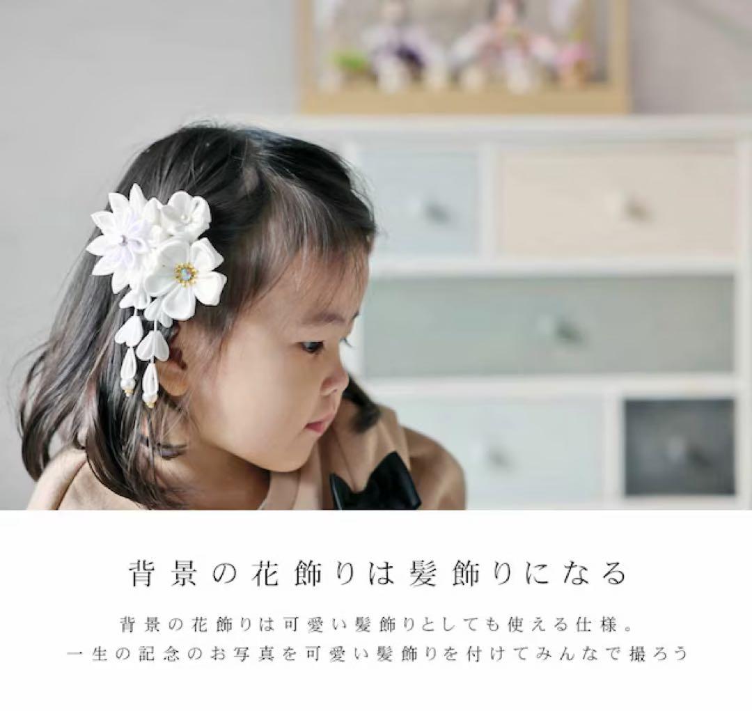 2026年購入 新品同様　恵月人形本舗 雛人形 ケース入り アクリル 48cm