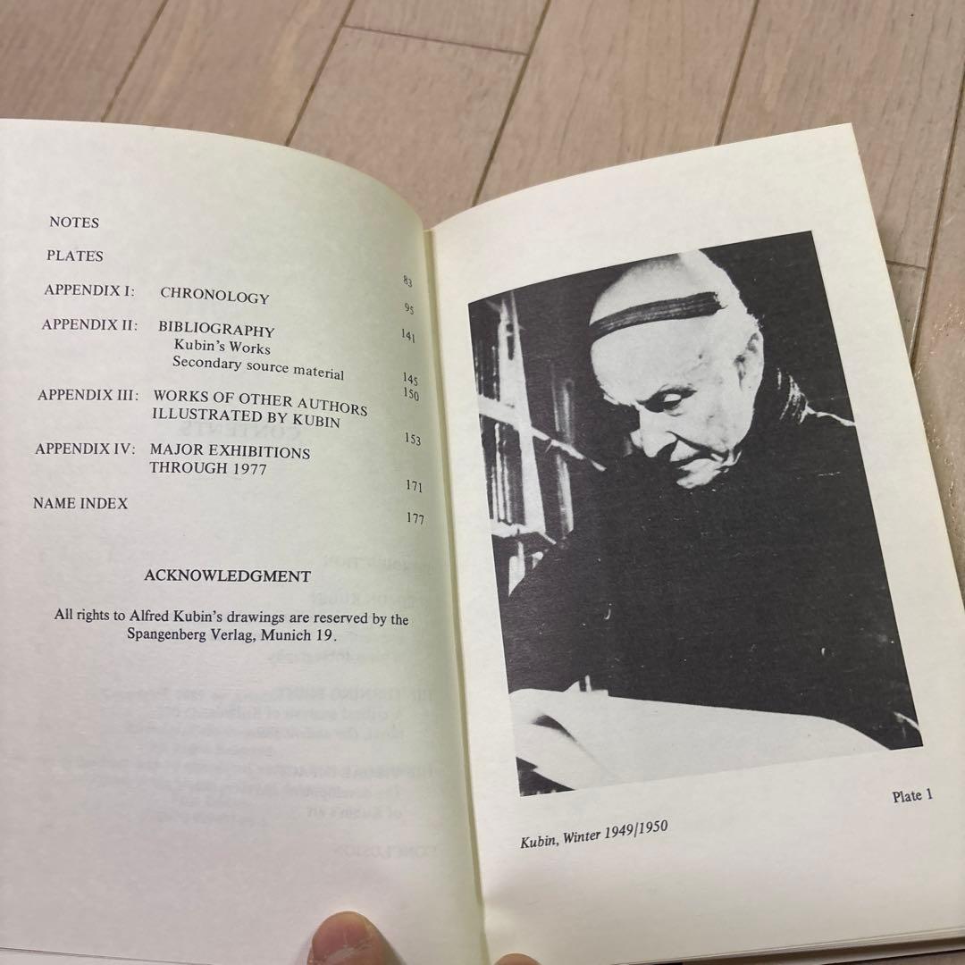 洋書 Verbal and Visual Art of Alfred Kubin